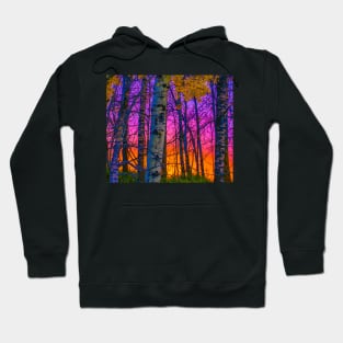 A Vibrant sunset thru the trees. Hoodie